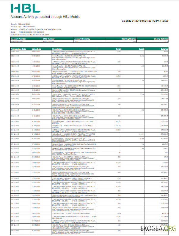 PAKISTAN HBL utility bill Word and PDF template